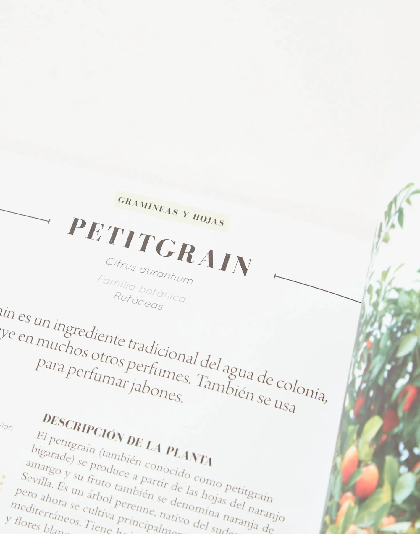 Natura Selection Aceites Esenciales