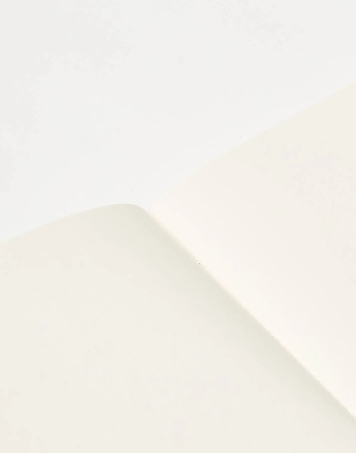 Natura Selection Cuaderno Pequeño Colors