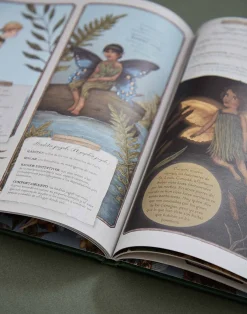 Natura Selection Historia Natural De Las Hadas