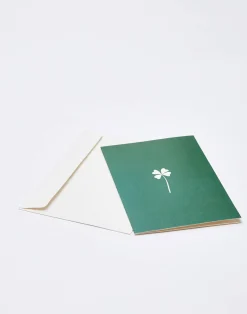 Natura Selection Postal Papel Con Sobre