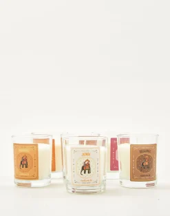 Natura Selection Vela Elephant